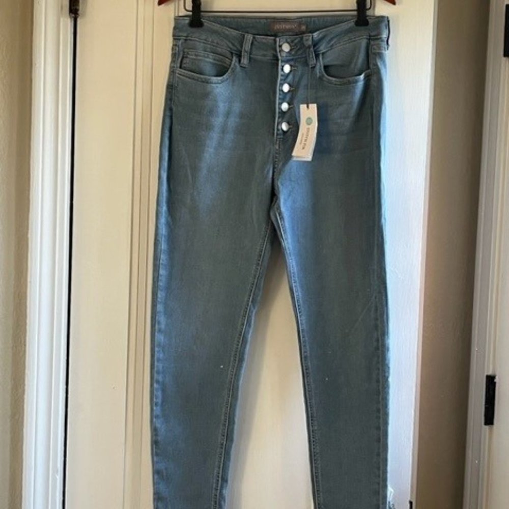 Just Usa from Stich Fix Skinny Jeans